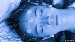 人類首次冬眠實驗啟動