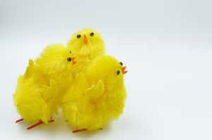 酸言酸語通通變不見 日本開發「小雞阻斷器」把網路攻擊、謾罵擋好擋滿