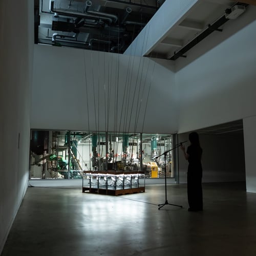 배타적 이접들#2; 바람의 속삭임(wish)