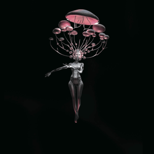 Minuit Heya: Sensotalic Helix Movement 000
