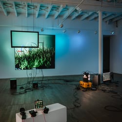 2024-02-23 Sporobole2.jpg