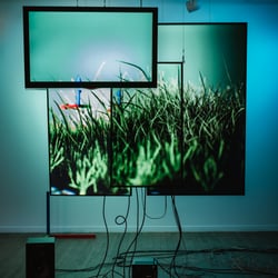 2024-02-23 Sporobole6.jpg