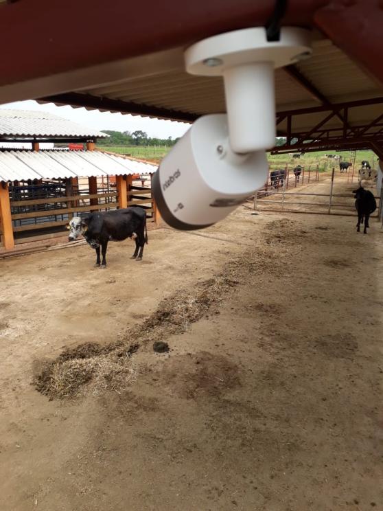 Câmera Intelbras monitorando curral em fazenda