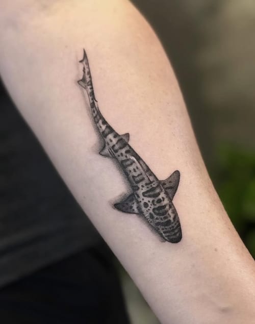 A black and grey minimalist tattoo of a shark on the forearm, featuring simple lines and shading — by Jian Liang, los angeles