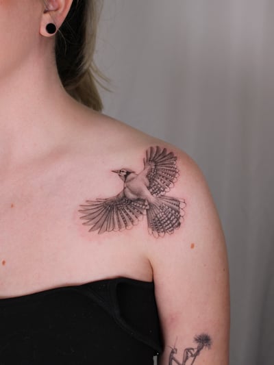 A realistic black and grey tattoo of a bird in flight on the shoulder, showcasing detailed feather work — by Melanie Benoit, los angeles