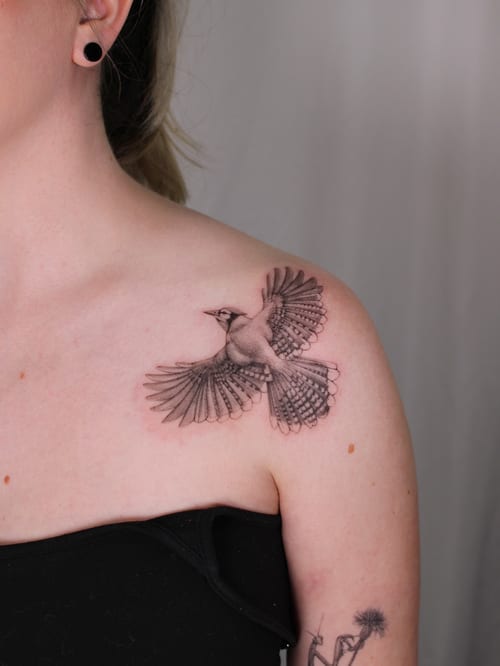 A realistic black and grey tattoo of a bird in flight on the shoulder, showcasing detailed feather work — by Melanie Benoit, los angeles