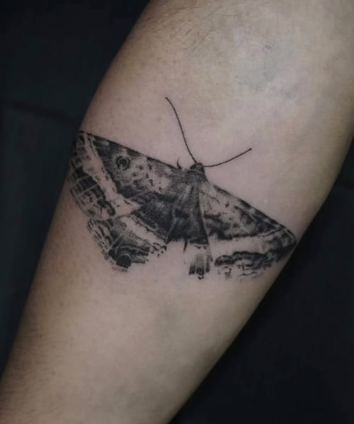 A black and grey realistic tattoo of a moth on the forearm, featuring detailed shading and linework — by Jian Liang, los angeles