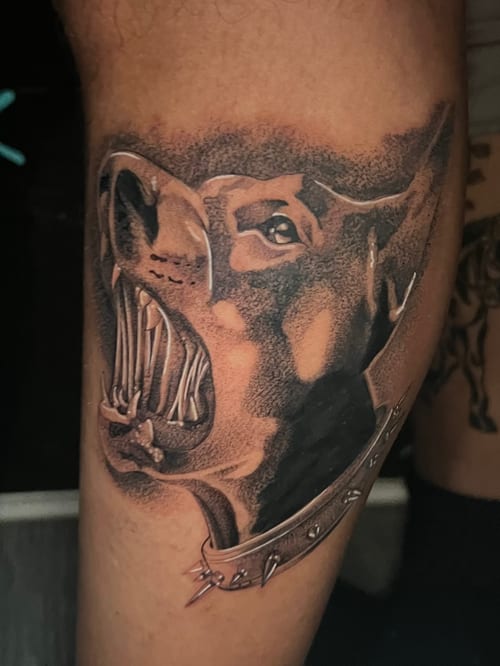 A realistic black and grey tattoo of a snarling dog on the upper arm, showcasing detailed shading and texture — by Josue Bravo, los angeles