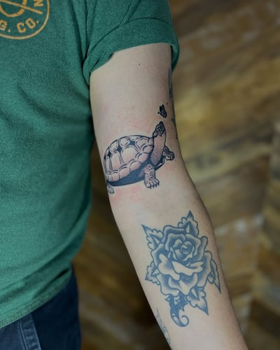 A black and grey illustrative tattoo of a tortoise with a butterfly on the arm, featuring delicate linework — by Dylan Aiello, los angeles