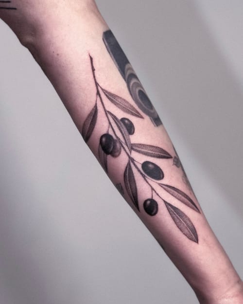 A delicate black and grey olive branch tattoo on the forearm, featuring detailed leaves and olives in a botanical style — by Melanie Benoit, los angeles