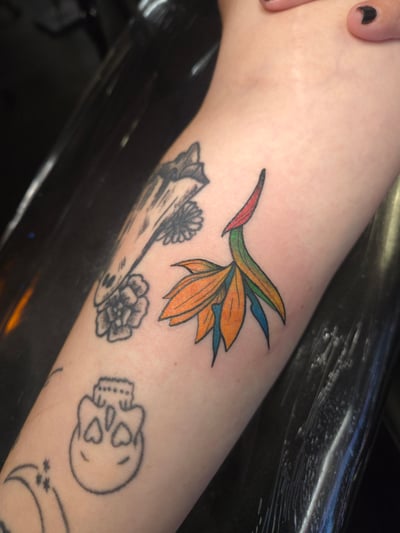 traditional bird of paradise flower tattoo — by ashynucklestattoo, los angeles