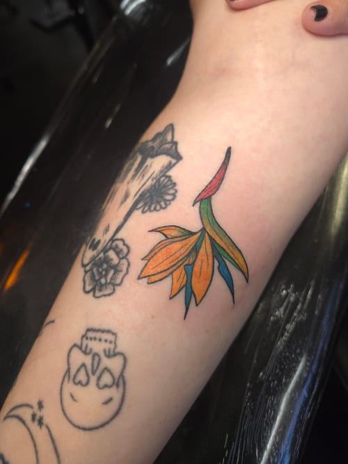 traditional bird of paradise flower tattoo — by ashynucklestattoo, los angeles