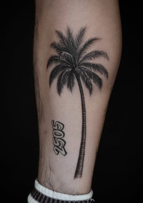 A black and grey realistic palm tree tattoo on the calf, featuring detailed shading and a small script below — by Jian Liang, los angeles