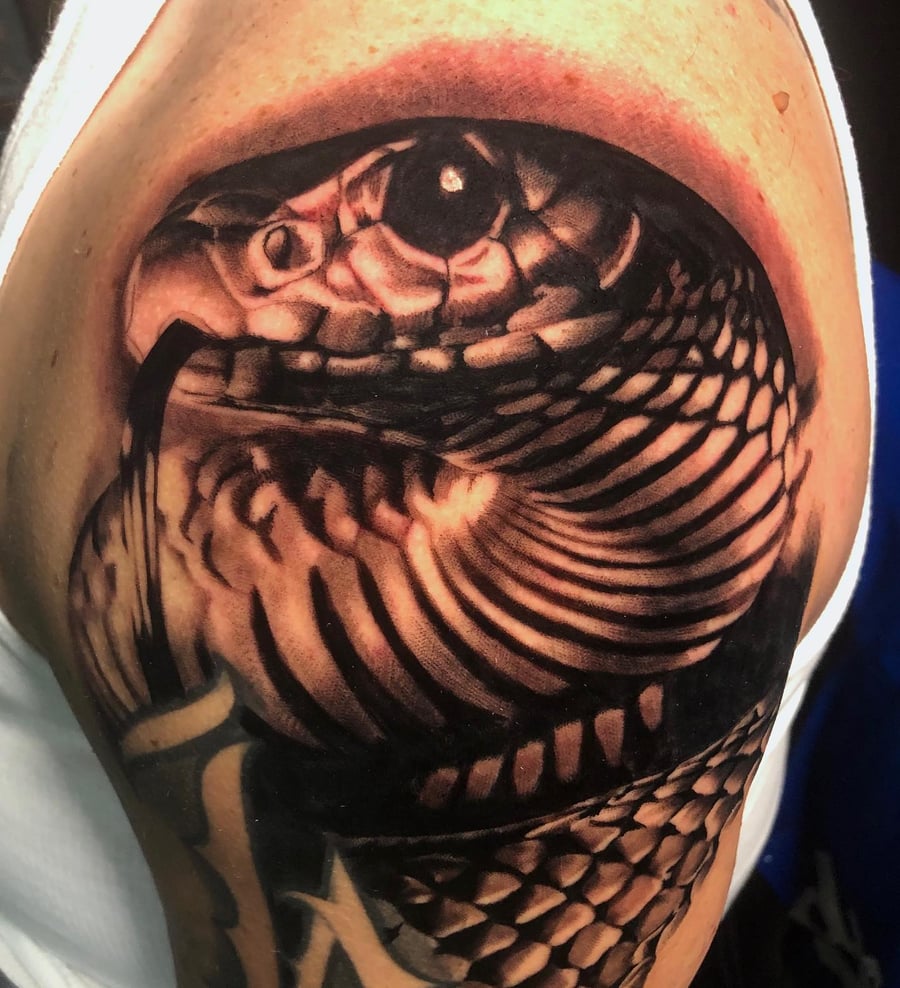 A realistic black and grey snake tattoo on the upper arm with detailed scales and shading — by Johnny Ayala, los angeles