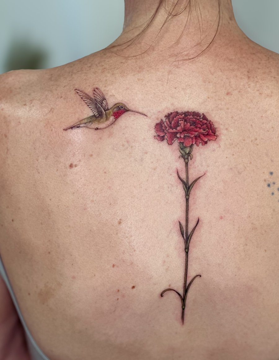 A delicate color tattoo of a hummingbird and carnation flower on the back, featuring fine line and realistic details — by Melanie Benoit, los angeles