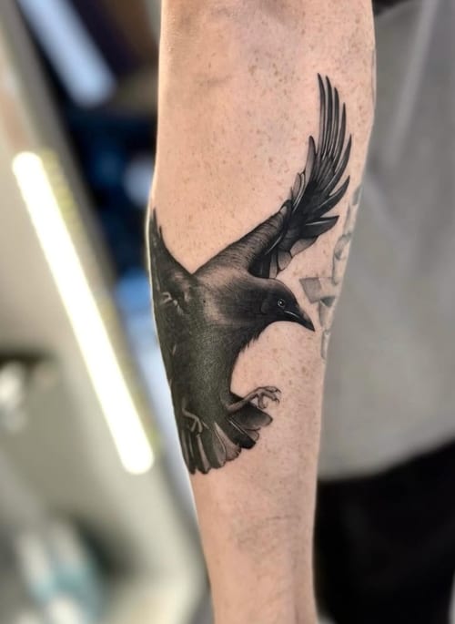 A realistic black and grey tattoo of a crow in flight on the forearm, showcasing detailed shading and lifelike features — by otaybeatdown, los angeles