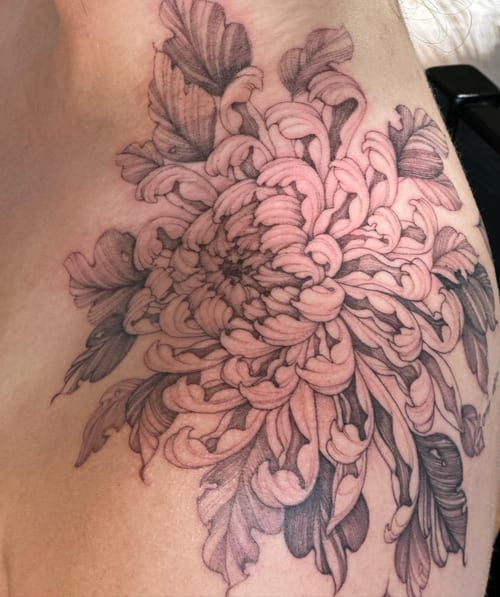 A delicate black and grey chrysanthemum flower tattoo on the shoulder with fine line detailing — by Melanie Benoit, los angeles