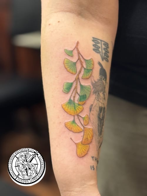 A colorful tattoo of ginkgo leaves on the forearm, featuring delicate botanical details — by Sandra Price, los angeles