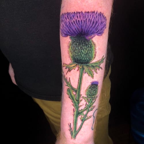 A colorful and realistic thistle flower tattoo on the forearm, featuring bold purple and green hues — by Sandra Price, los angeles