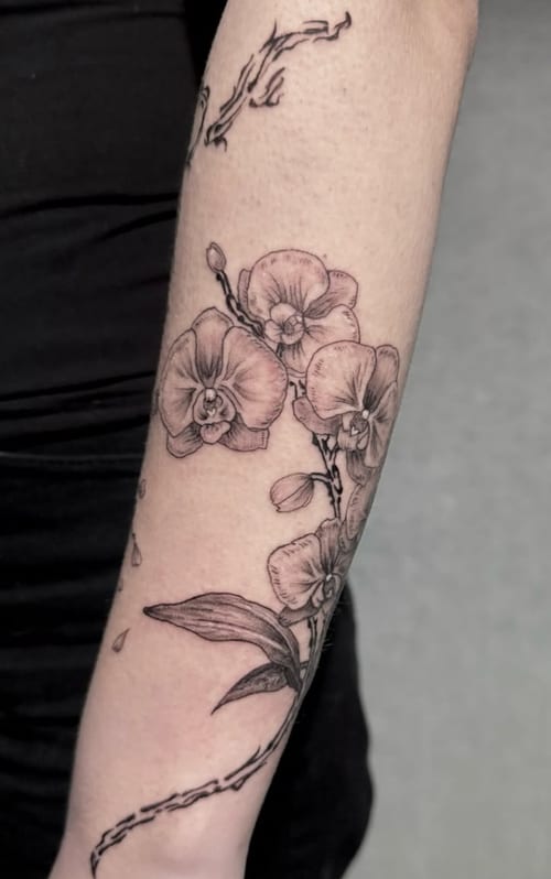 A black and grey fine line tattoo of orchids on the forearm, featuring delicate floral details and soft shading — by Shelby Bianco, los angeles