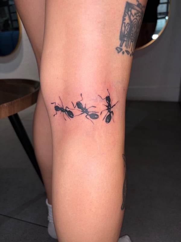 blackwork tattoo by Hannah  — los angeles