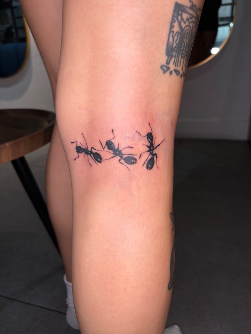 minimal blackwork tattoo of three solid black ants marching in a line by Hannah, a blackwork tattoo artist in los angeles