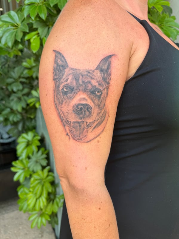 A realistic black and grey dog portrait tattoo on the upper arm, capturing detailed fur texture and expression — by Sandra Price, ventura, ca