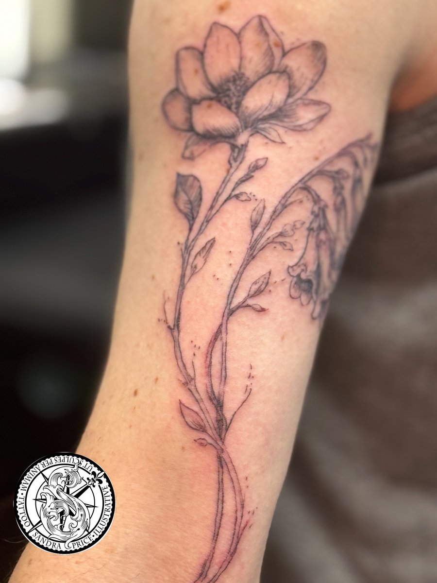 A delicate black and grey fine line flower tattoo on the arm, featuring detailed botanical elements — by Sandra Price, los angeles