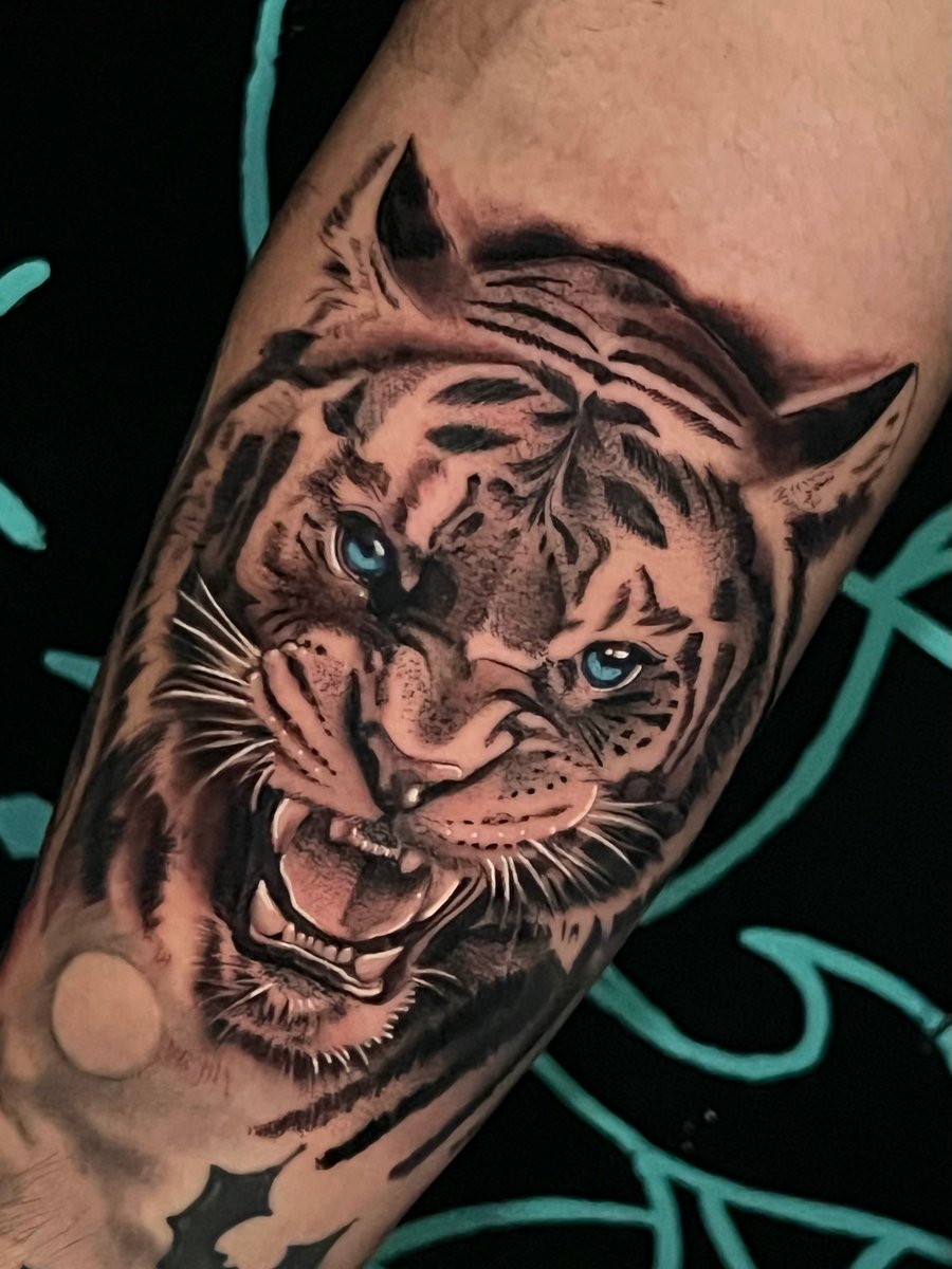 A realistic black and grey tiger head on the forearm with striking blue eyes, showcasing detailed fur and fierce expression — by Josue Bravo, los angeles