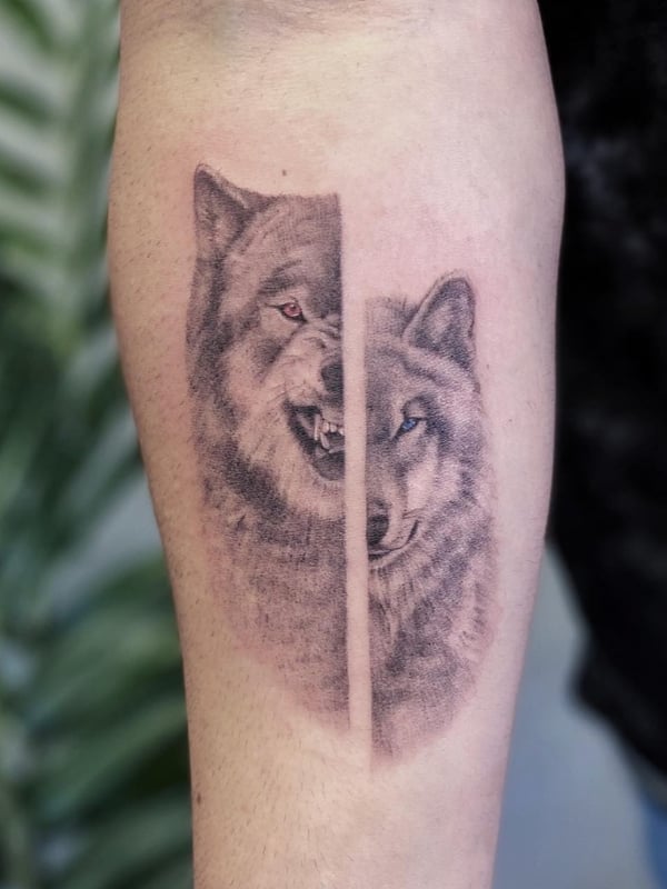 A black and grey realism tattoo of a wolf split into two expressions on the forearm, showcasing fine detail and shading — by Jian Liang, los angeles