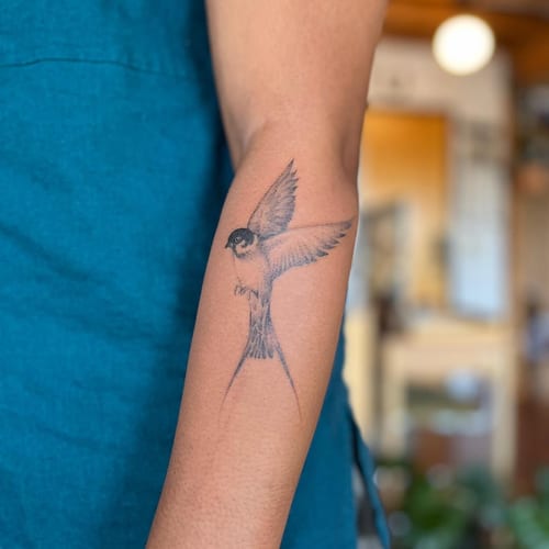 A realistic black and grey bird tattoo on the forearm, featuring detailed shading and delicate linework — by Dylan Aiello, los angeles