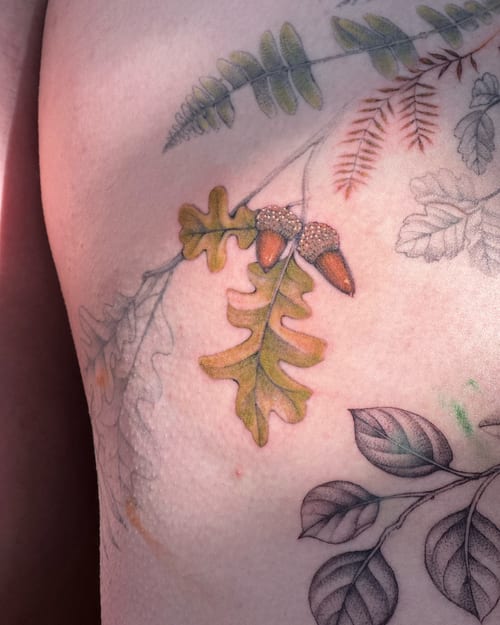 A delicate tattoo of oak leaves and acorns on the rib, featuring a mix of color and black and grey in a realistic botanical style — by Melanie Benoit, los angeles