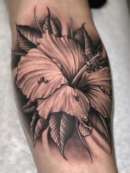 A detailed black and grey realism tattoo of a hibiscus flower on the leg, featuring intricate shading and texture — by imindisoul, los angeles