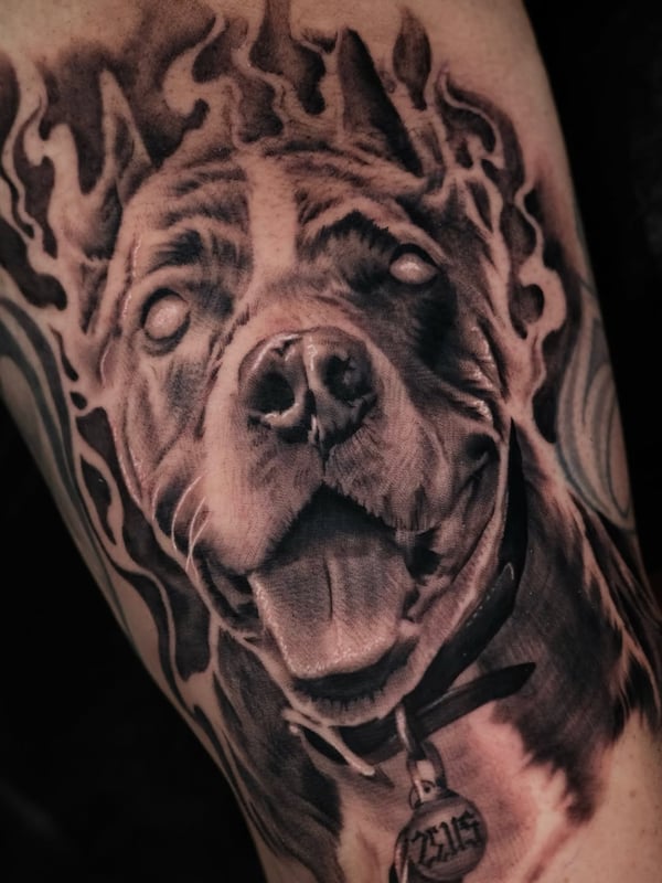 A detailed black and grey dog portrait tattoo on the forearm, showcasing realistic fur texture and bold shading — by Johnny Ayala, fontana, ca