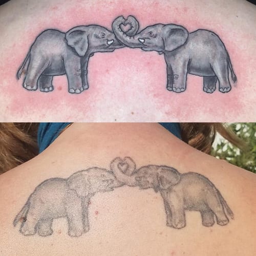 Two elephants with their trunks forming a heart, done in black and grey realism on the back — by Sandra Price, los angeles
