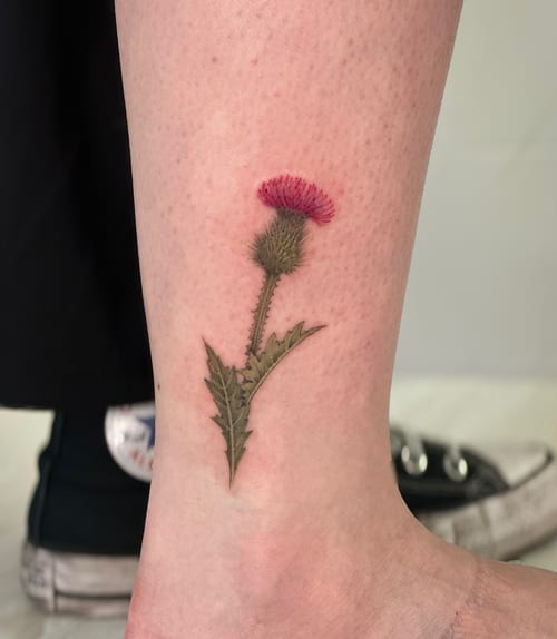 A realistic color tattoo of a thistle on the ankle, featuring detailed botanical elements — by Melanie Benoit, los angeles
