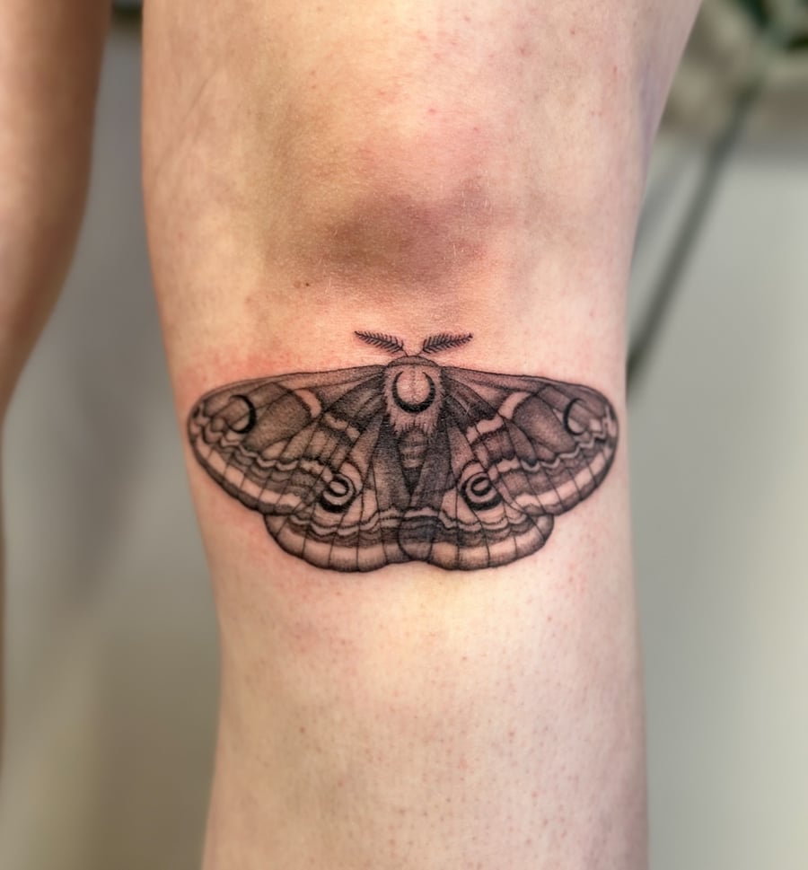 A detailed black and grey moth tattoo on the knee, featuring intricate linework and shading — by Melanie Benoit, los angeles