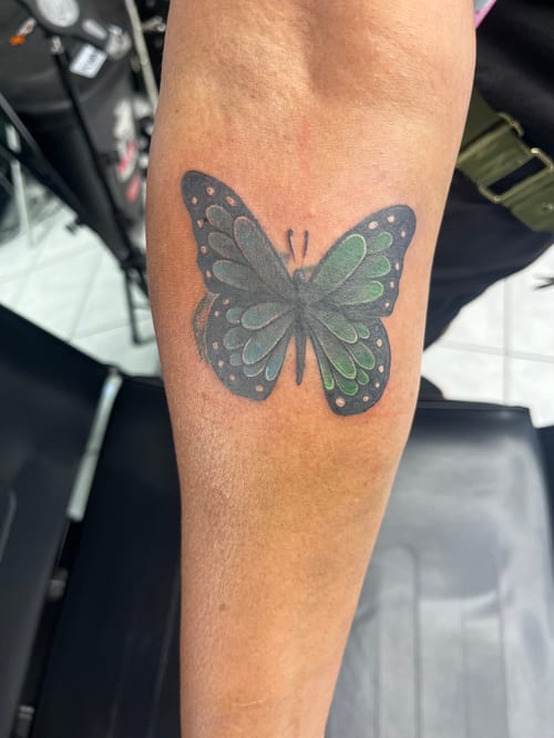 A colorful Neo-Traditional butterfly tattoo on the forearm with green and black wings, featuring illustrative details — by Mr._Folks, los angeles