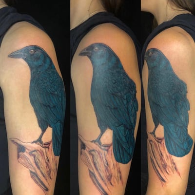 A realistic and bold raven tattoo in blue ink on the upper arm, showcasing detailed feather texture — by Sandra Price, los angeles