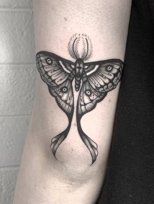 A black and grey linework tattoo of a moth on the arm, featuring intricate patterns and bold outlines — by Shelby Bianco, los angeles