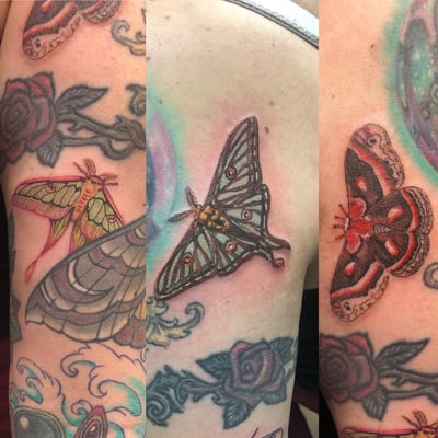 Colorful neo-traditional moths and roses tattoo on the upper arm with intricate details and vibrant colors — by Sandra Price, los angeles
