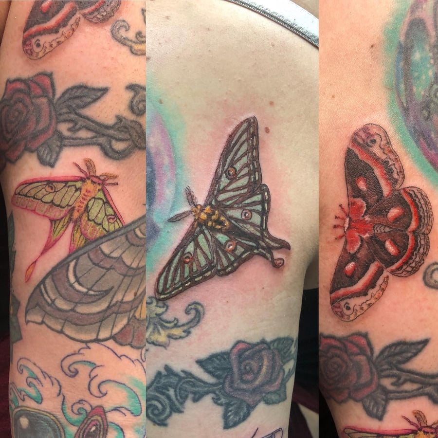 Colorful neo-traditional moths and roses tattoo on the upper arm with intricate details and vibrant colors — by Sandra Price, los angeles