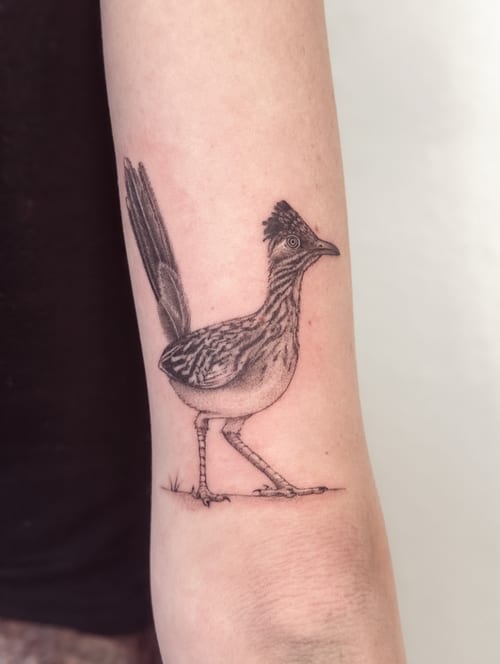 A detailed black and grey roadrunner tattoo on the forearm with realistic shading and fine linework — by Melanie Benoit, los angeles