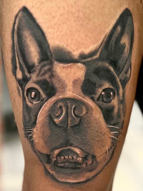 A realistic black and grey portrait of a dog on the leg, capturing detailed facial features and shading — by Josue Bravo, los angeles