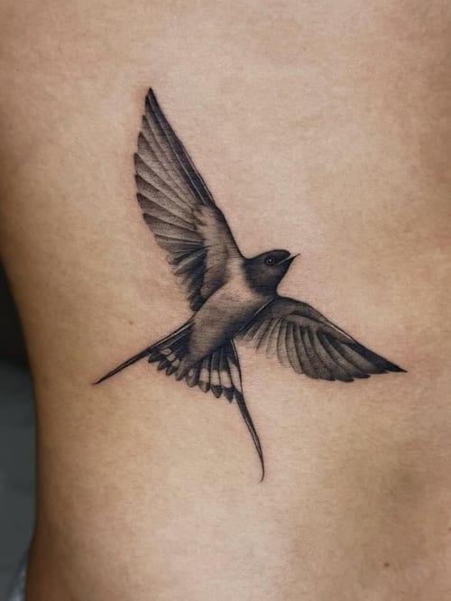 A black and grey realistic tattoo of a bird in flight on the rib, showcasing detailed shading and fine lines — by otaybeatdown, los angeles