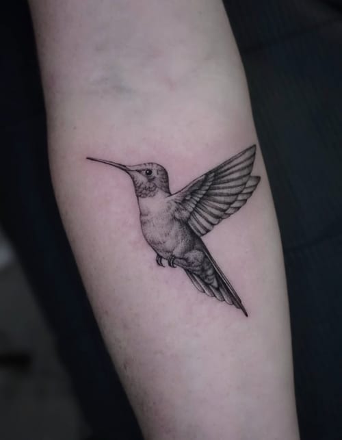 A black and grey fine line tattoo of a hummingbird on the forearm, featuring detailed linework and shading — by Jian Liang, los angeles