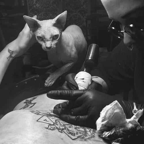 A black and grey linework tattoo on the back featuring a cat and script elements, with bold outlines and intricate details — by Tag Devilish, los angeles