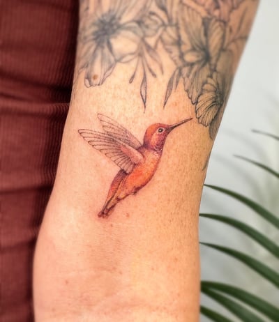 A colorful and delicate hummingbird tattoo on the forearm, rendered in a realistic and fine line style — by Melanie Benoit, los angeles