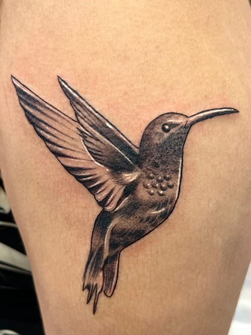 A realistic black and grey hummingbird tattoo on the thigh, showcasing detailed shading and lifelike features — by Josue Bravo, los angeles