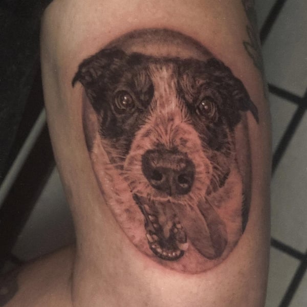 A realistic black and grey dog portrait tattoo on the arm, capturing detailed fur texture and expression — by Miguel ANGELO, temecula, ca